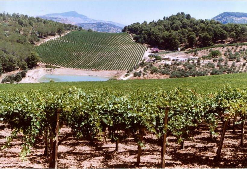 غرفة عائلية, Agriturismo Tenute Pispisa Segesta