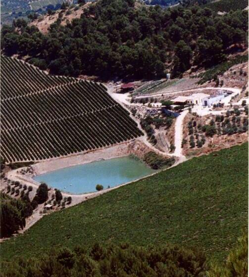 غرفة عائلية, Agriturismo Tenute Pispisa Segesta