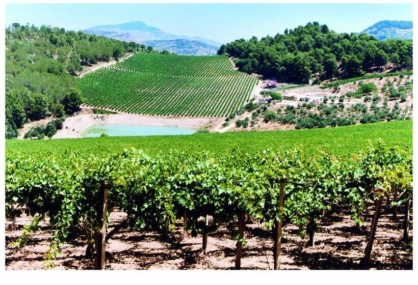 غرفة عائلية, Agriturismo Tenute Pispisa Segesta