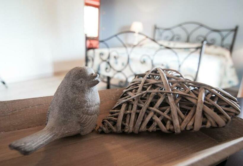 Номер Стандарт с Террасой, Dai Minisins