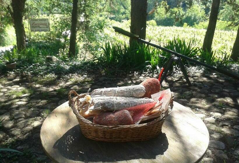 בית, חדר שינה 1, Agriturismo Lucciano