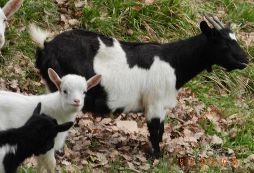 בית, 2 חדרי שינה, Agriturismo Lucciano