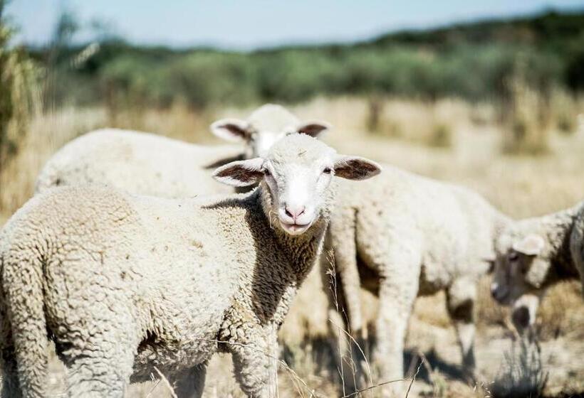 فيلا ديلوكس غرفة نوم, Casas De Santa Rita