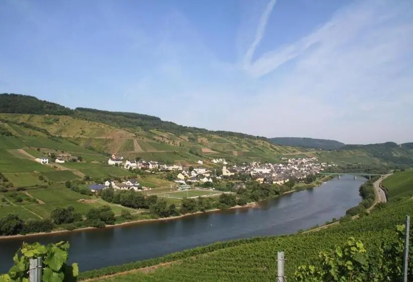 １ベッドルームのデラックスアパートメント, Weingut Brennerei Gästehaus Emil Dauns