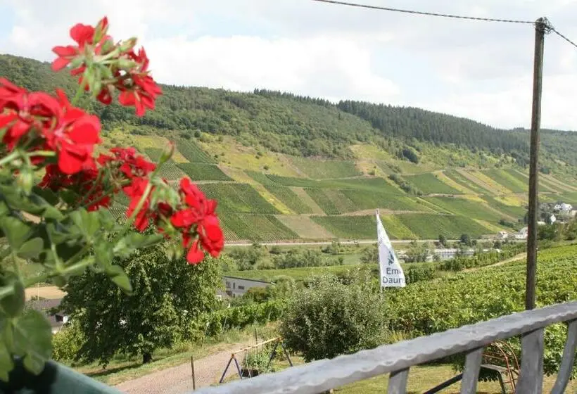 ベーシックルーム, Weingut Brennerei Gästehaus Emil Dauns