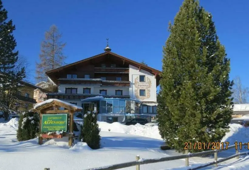 آپارتمان 1 خوابه, Sportpension Alpenrose