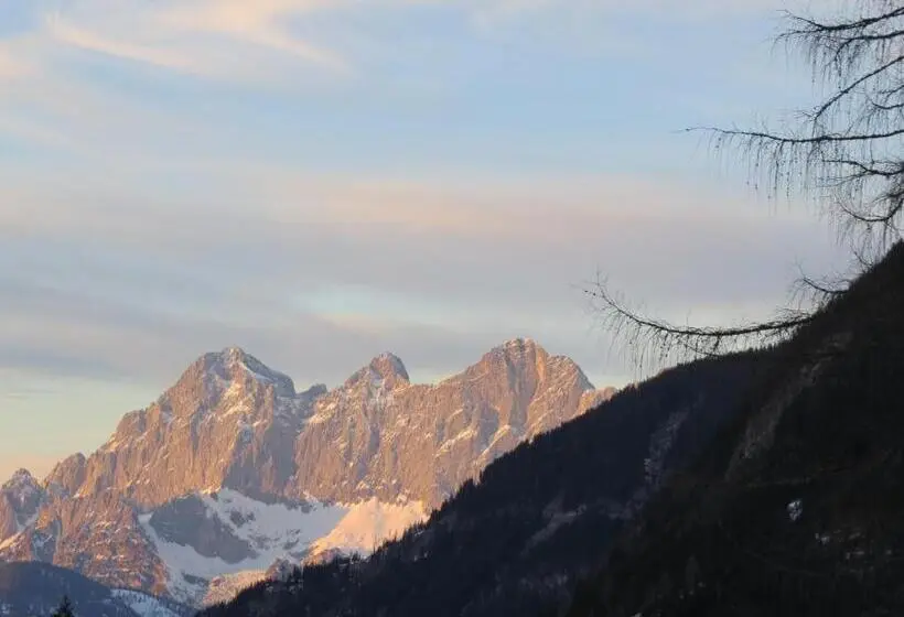 اتاق لوکس, Sportpension Alpenrose