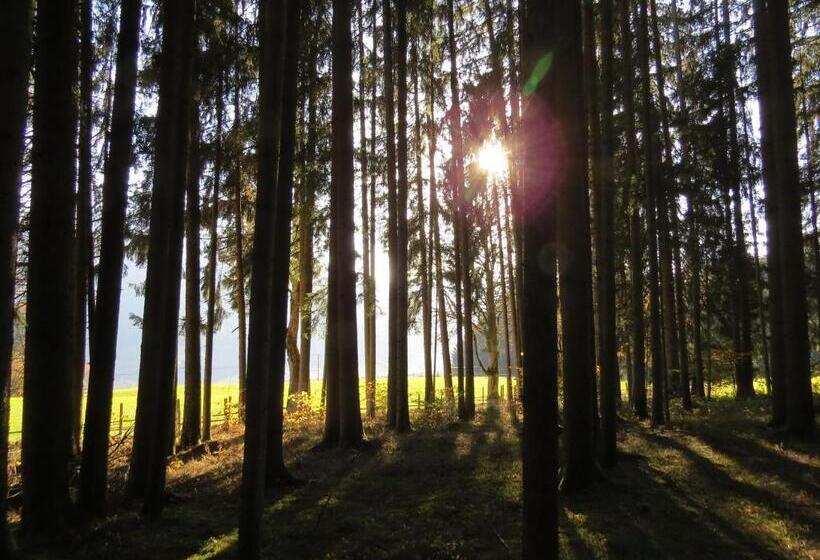 חדר דלוקס, Sportpension Alpenrose