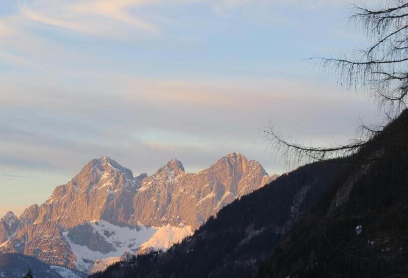 Apartamento 1 Dormitório, Sportpension Alpenrose