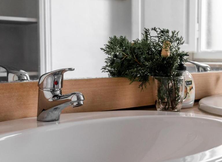 اتاق استاندارد با سرویس بهداشتی مشترک, Arena Alfieri B&b