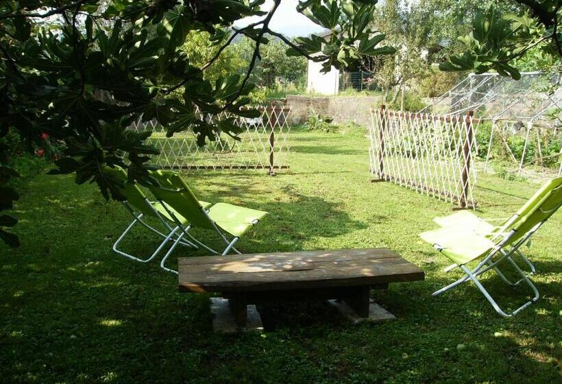 דירת שני חדרים, Il Barucin