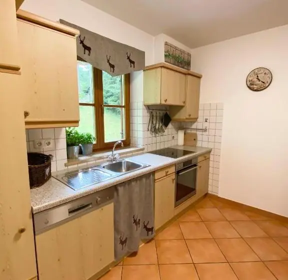 Apartament 1 Dormitor cu Balcon, Gästehaus Arnspitzblick