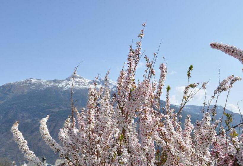 اتاق استاندارد با چشم‌انداز کوهستان, B&b Ambrosia