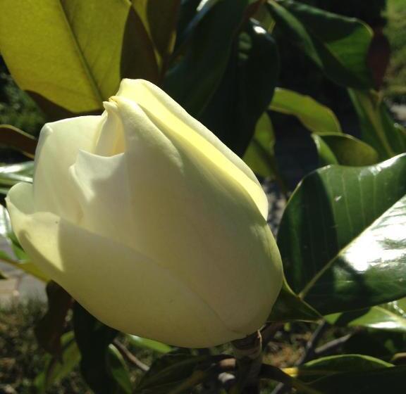 اتاق استاندارد با چشمانداز کوهستان, B&b Ambrosia