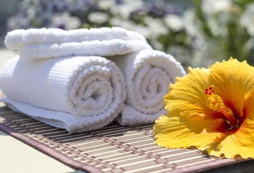 اتاق استاندارد با تخت بزرگ برای معلولان, B&b Ambrosia