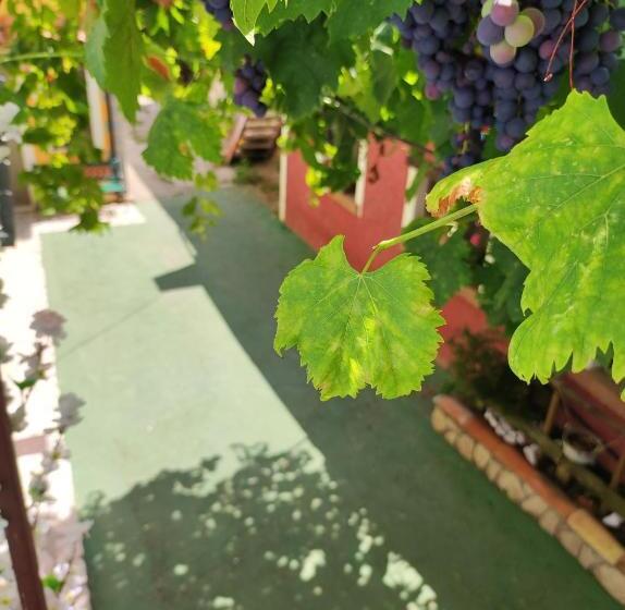 اتاق استاندارد, Borgo Lamurese