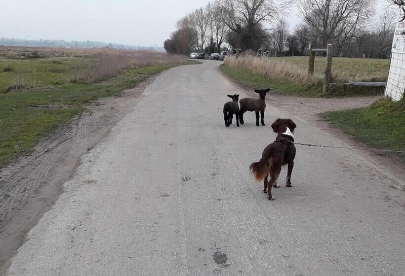إستوديو قياسى مطلّ علي الحديقة, Maison D Hôtes Les Vallées