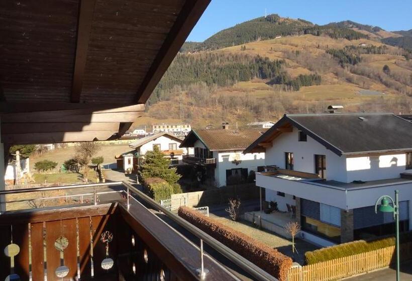 شقة غرفة واحدة, Appartements Gassner