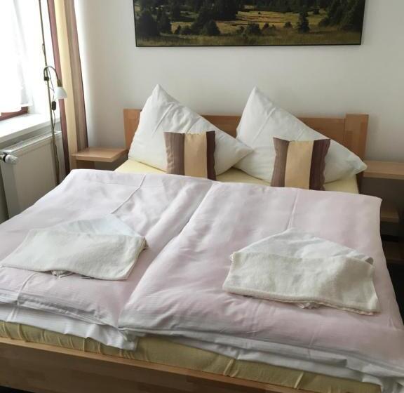 Номер Economy, Penzion Na Solné Stezce