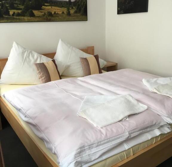 Номер Economy, Penzion Na Solné Stezce