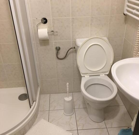 Номер Стандарт Трехместный, Penzion Na Solné Stezce