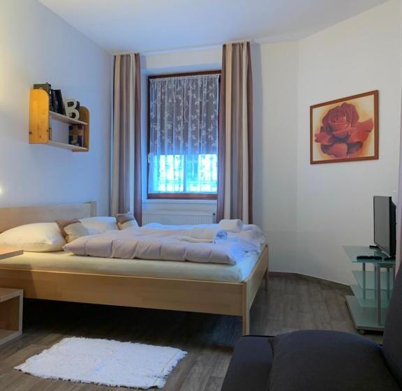 Семейный Номер, Penzion Na Solné Stezce