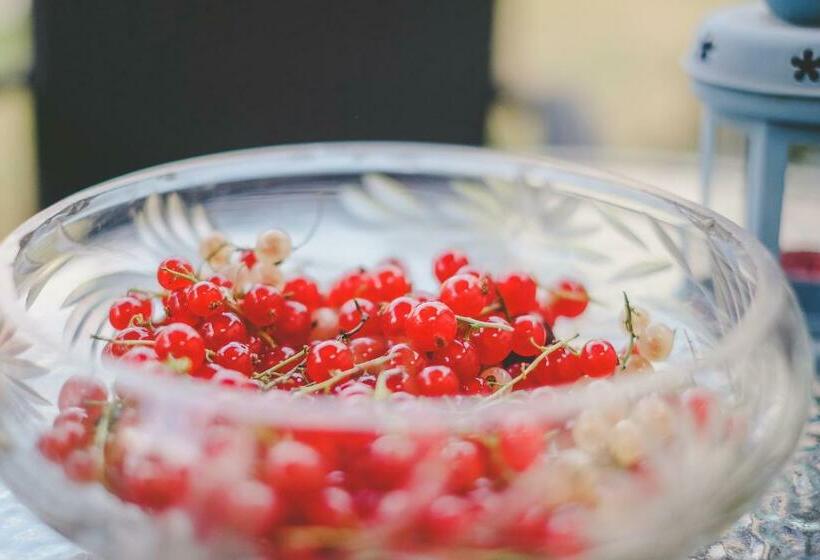 آپارتمان 1 خوابه, Villa Irbe