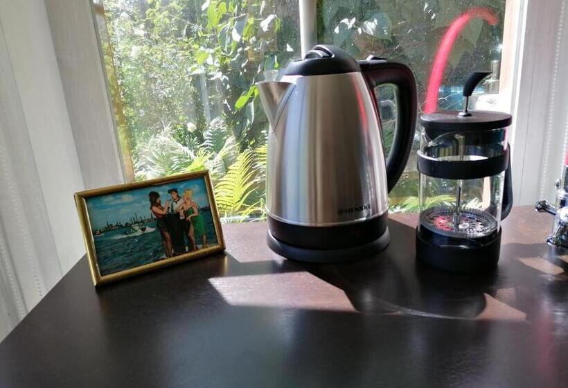 ویلای استاندارد با چشم‌انداز باغ, Villa Irbe