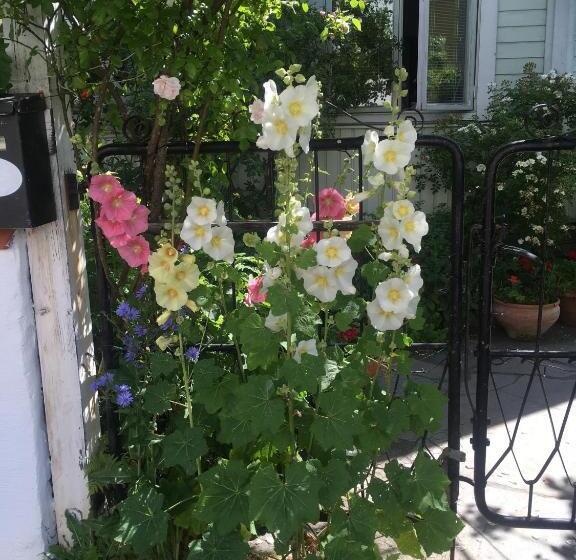 דירה משפחתית 2 חדרי שינה, Villa Verdi