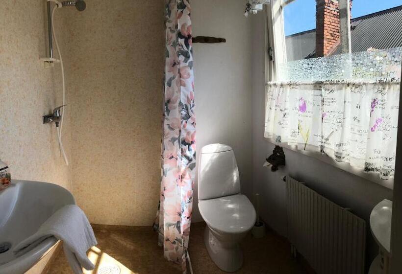 דירת חדר עם טרסה, Villa Verdi