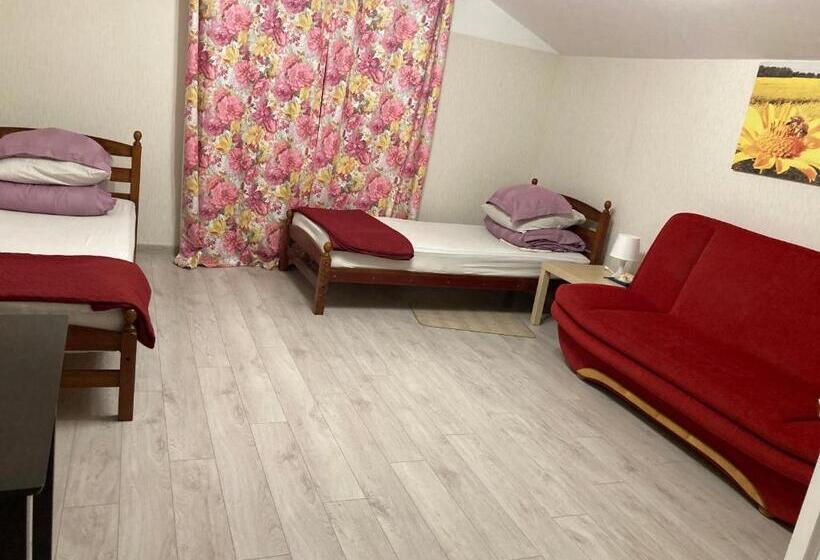 اتاق استاندارد, Medainie Apartamenti