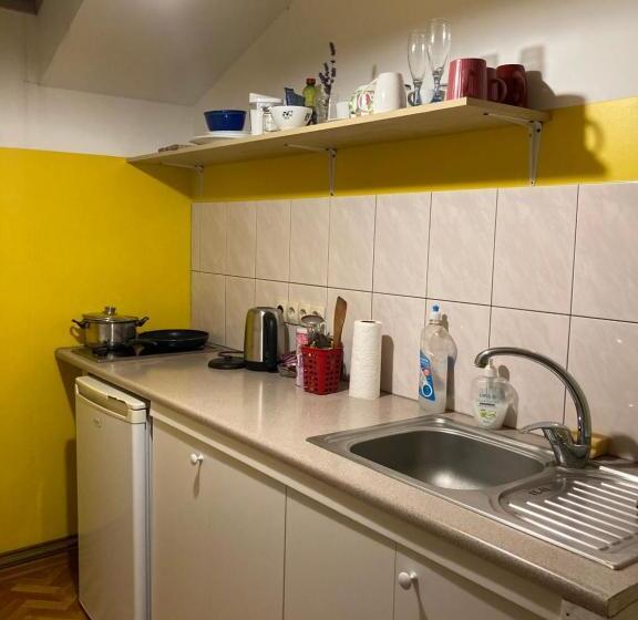 اتاق استاندارد, Medainie Apartamenti