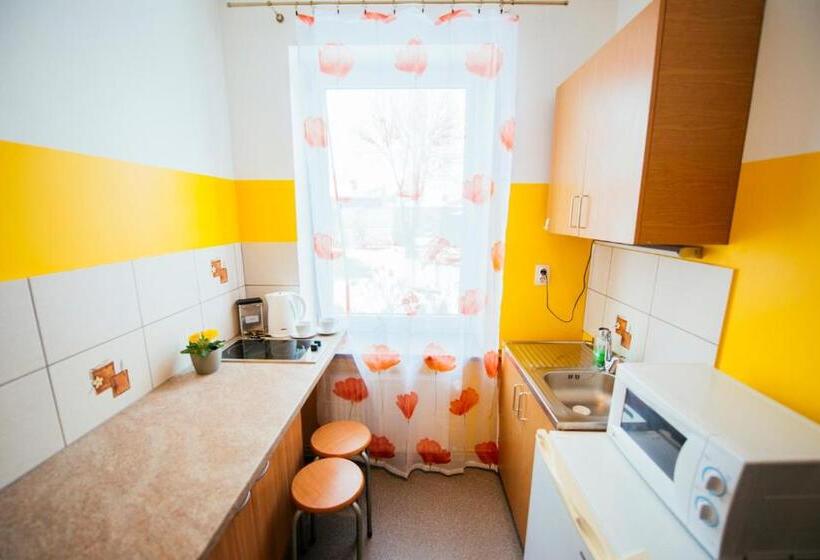 اتاق استاندارد چهار تخته, Medainie Apartamenti