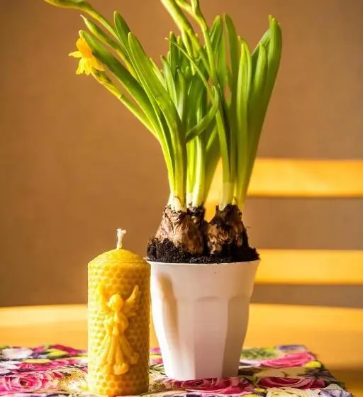 اتاق استاندارد سه نفره, Medainie Apartamenti