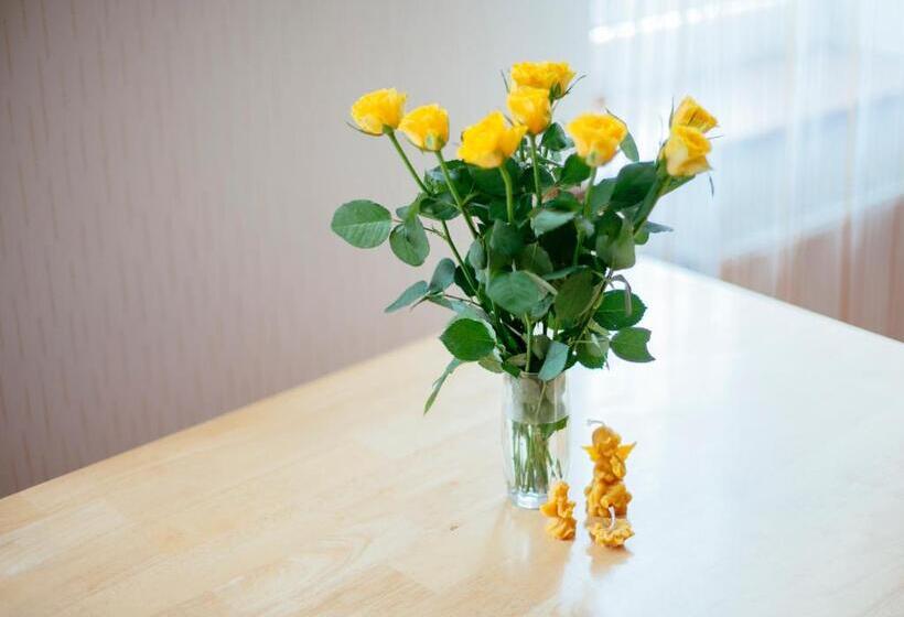 اتاق استاندارد چهار تخته, Medainie Apartamenti