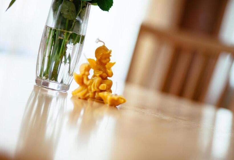 اتاق استاندارد چهار تخته, Medainie Apartamenti