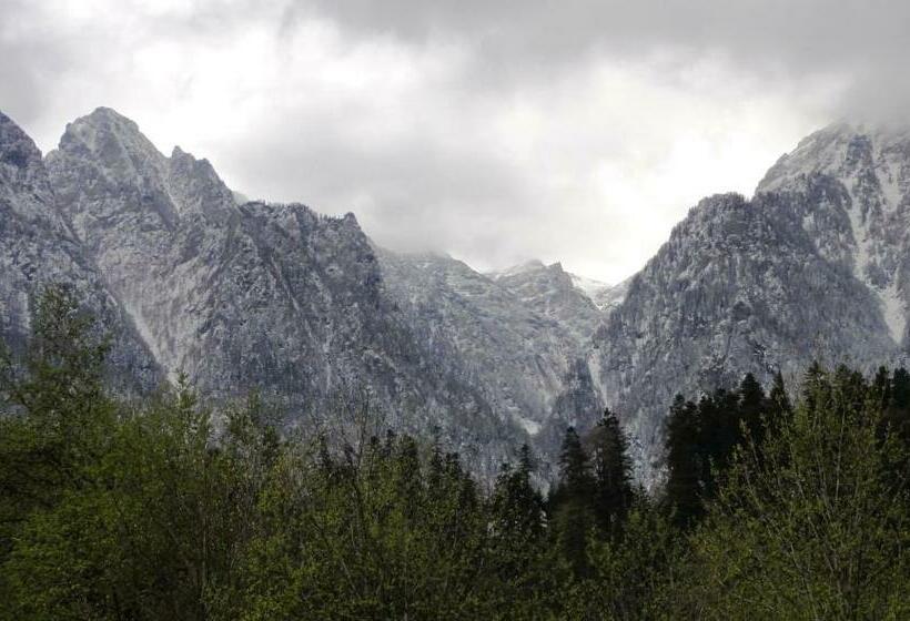 Quarto Estandar Cama King, Vila Nik Busteni