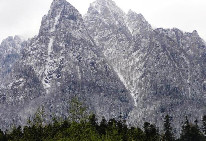 Quarto Estandar Cama King, Vila Nik Busteni