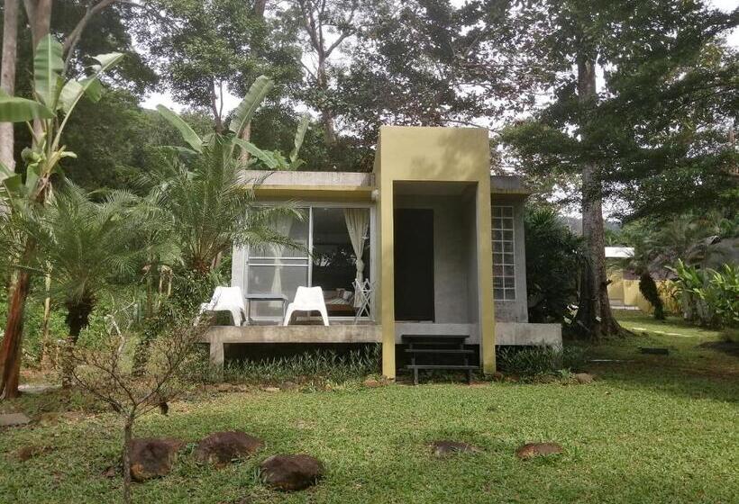 Standard-huone King-vuode, Lazy Republique