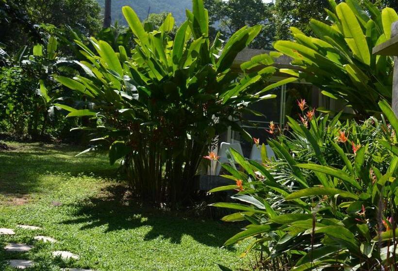 Standard-huone King-vuode, Lazy Republique