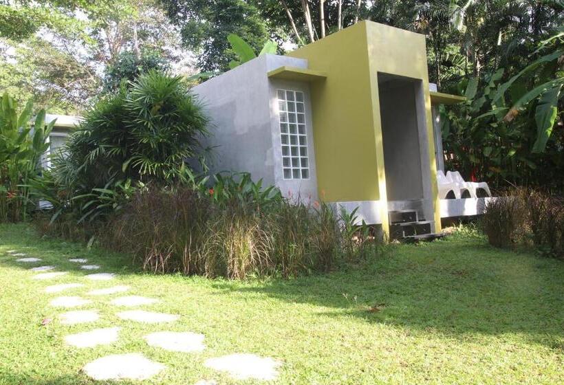 Standard-huone King-vuode, Lazy Republique