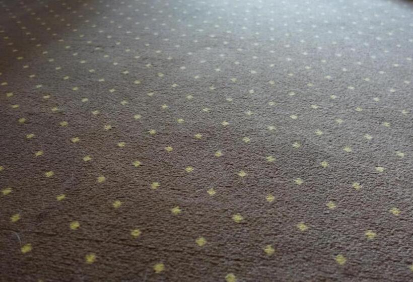 이코노미 룸, Fészek Fogadó   Pension Nest