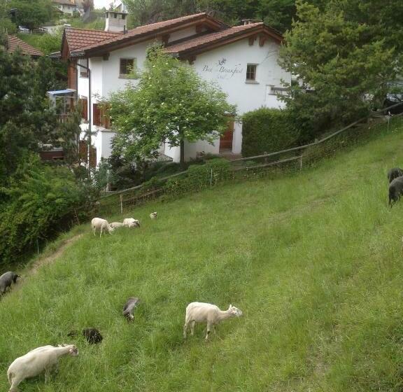 标准间, Bed & Breakfast La Val