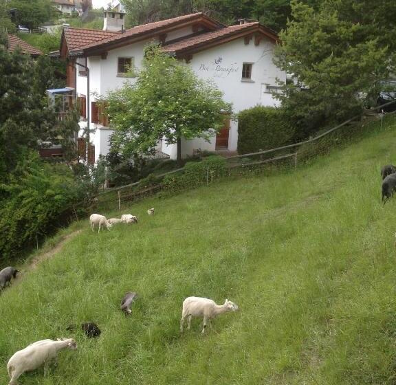 غرفة قياسية حمام مشترك, Bed & Breakfast La Val