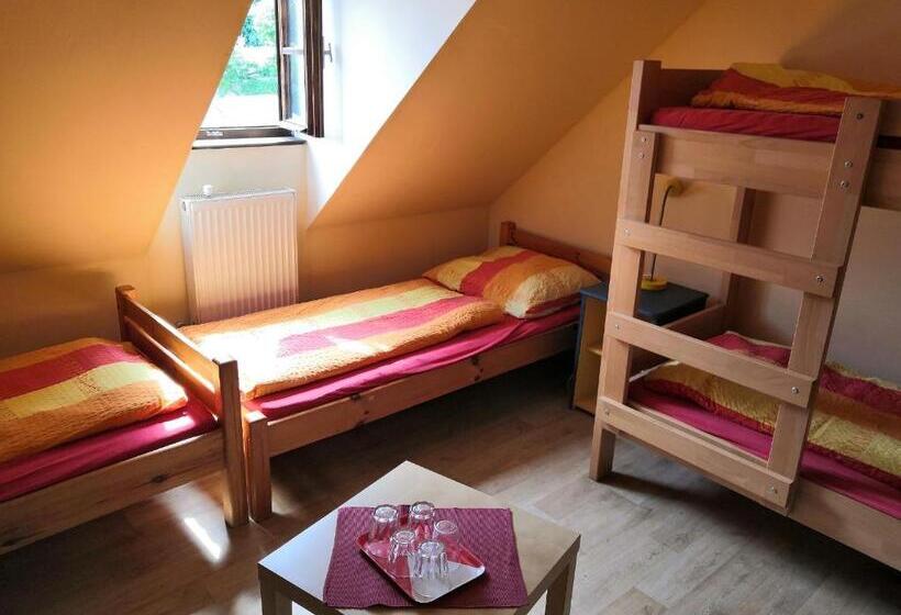 غرفة إقتصادية رباعية, Hostel Skautský Dom