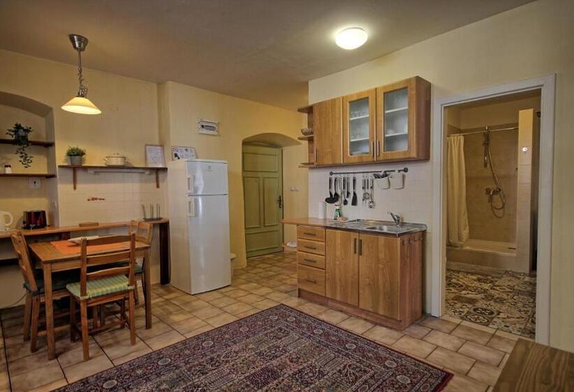 شقة غرفتين, Hostel Skautský Dom