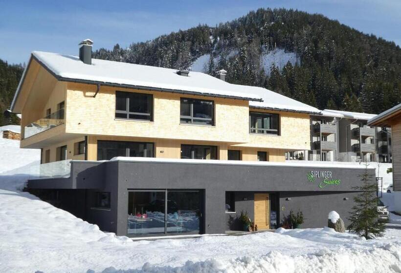 Люкс, Siplinger Suites Ferienwohnungen Sauna Und Fitness