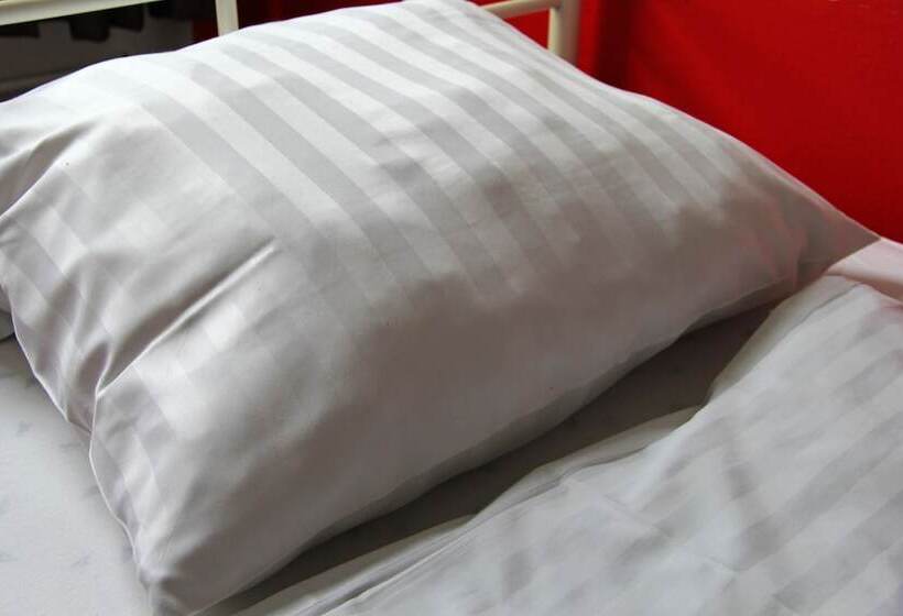 Lit en Chambre Commune, Check In Hostel