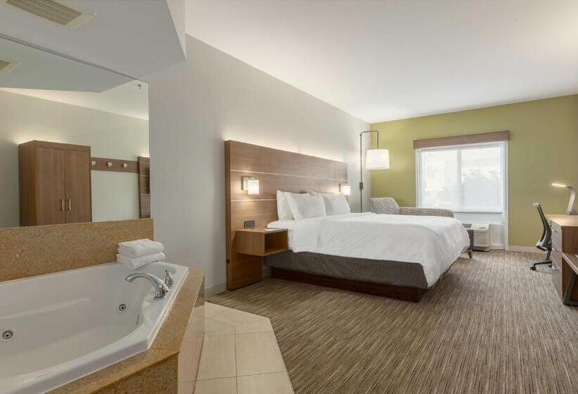 带大床的套房, Holiday Inn Express Hotel & Suites Binghamton University Vestal, An Ihg