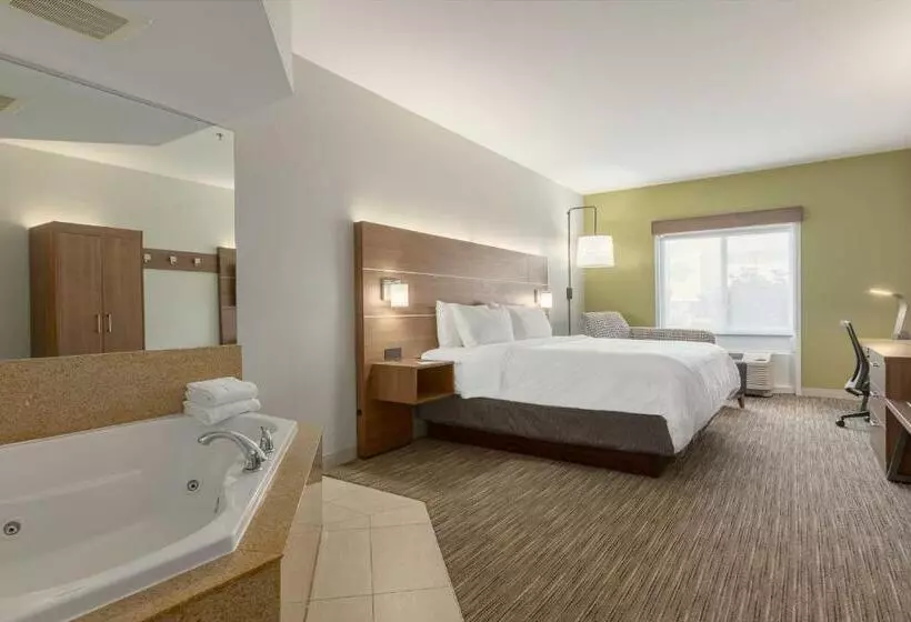キングサイズベッドのスイートルーム, Holiday Inn Express Hotel & Suites Binghamton University Vestal, An Ihg